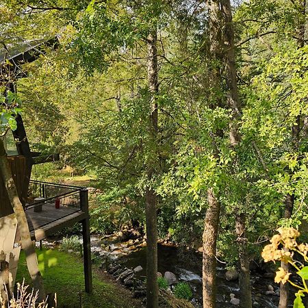 San Martín de los Andes Das Rosenhaus Apart Hotel By Rosas Blancas المظهر الخارجي الصورة
